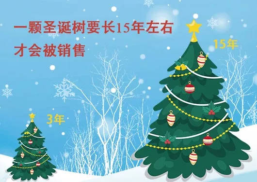 中國最早報道圣誕節(jié)的竟是《人民日報》，你不知道的10個圣誕小知識